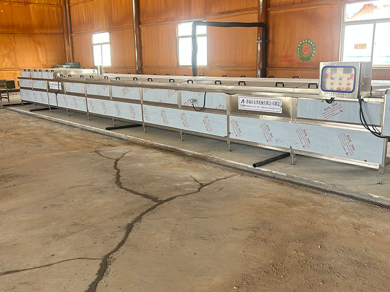 宁夏黄花菜加工现场